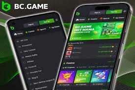 Comprehensive Guide to BC.Game Contact Details 613331207