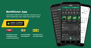 Discover the Excitement of BetWinner Sportsbook