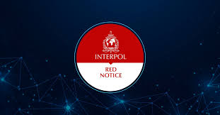 Understanding Interpol Defense Lawyers Your Guide to Legal Representation