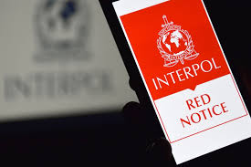 Understanding Interpol Defense Lawyers Your Guide to Legal Representation