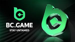 Discovering the BC.Game Platform A Comprehensive Overview