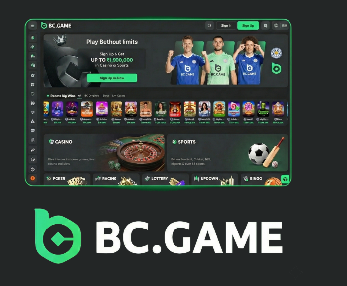 Latest BC.Game Mirrors Access Your Favorite Casino Games Effortlessly